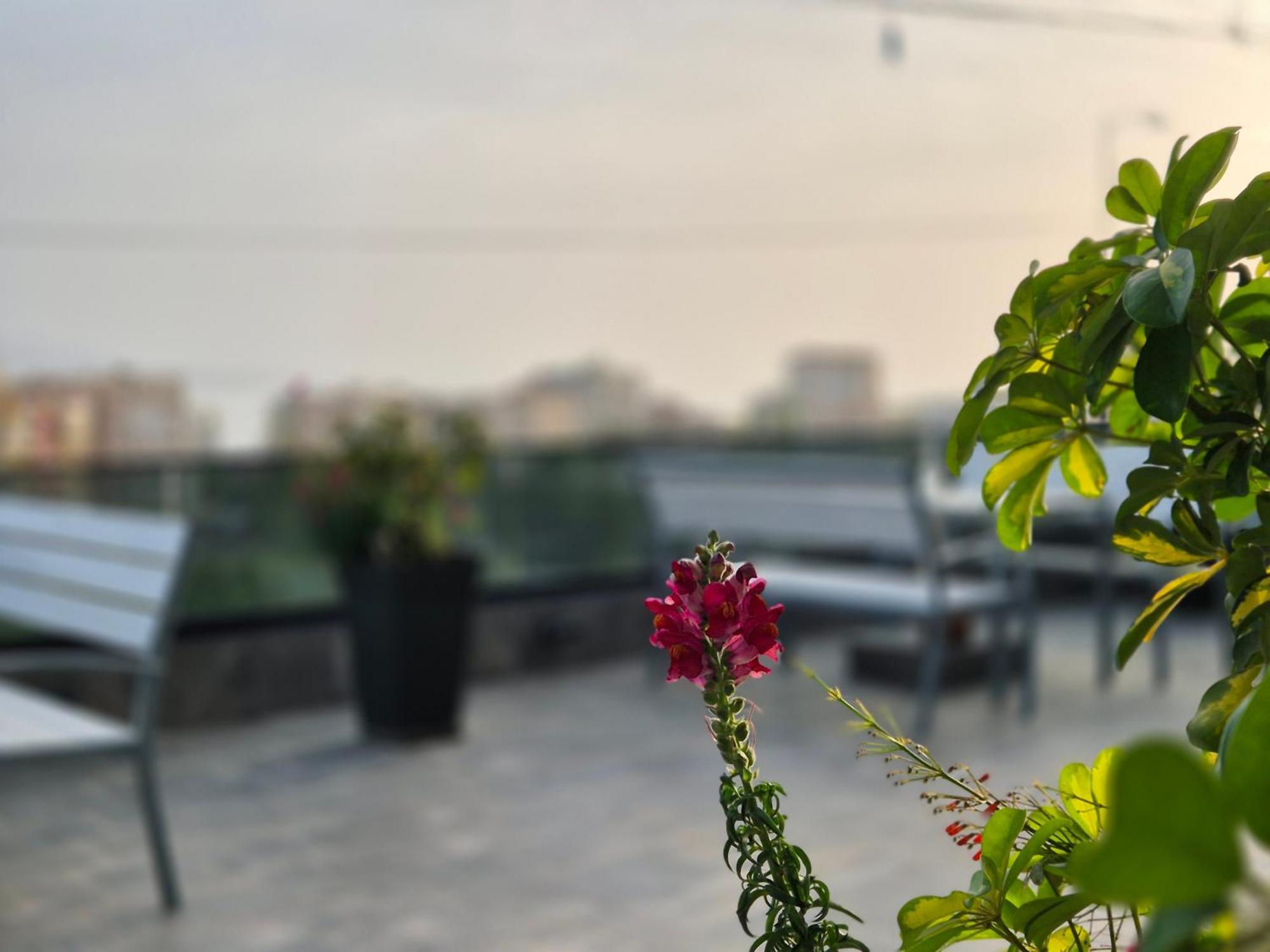 Flore Rooms Саранда Екстер'єр фото